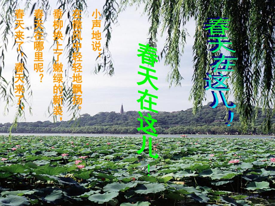 中班语言《春天来了》PPT课件教案中班语言：春天来了-(1).ppt_第3页