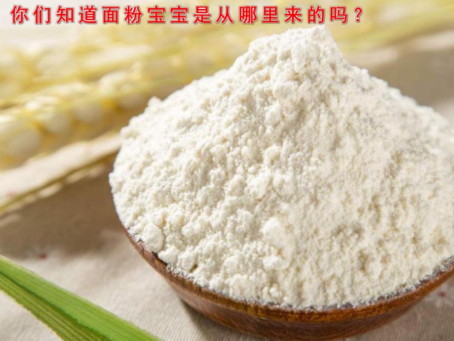 小班科学《面粉制品》PPT课件教案PPT课件.ppt_第3页