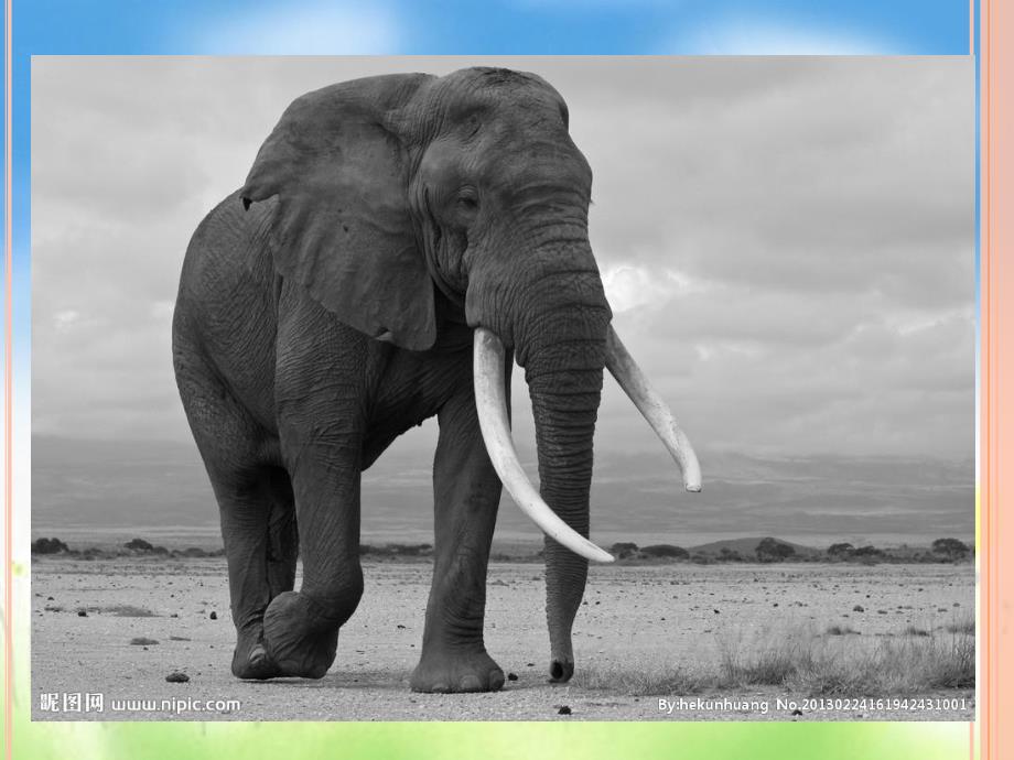 大班语言《猜动作》PPT课件教案大班语言：猜动作.ppt_第3页