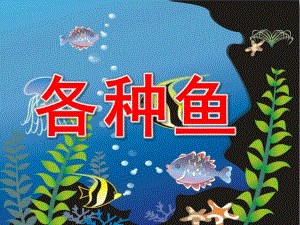 幼儿园各种鱼PPT课件教案幼儿园各种鱼.ppt