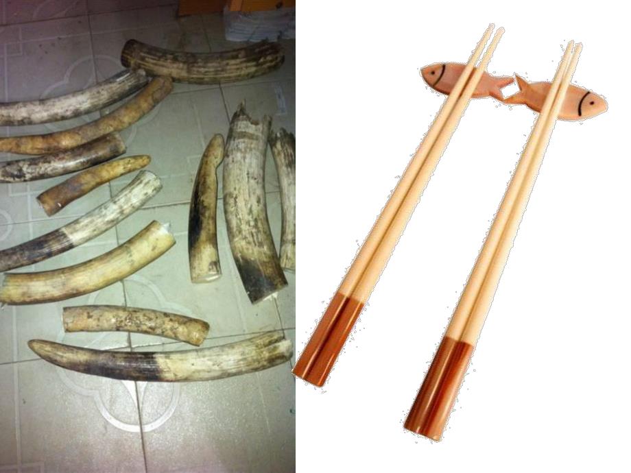 大班社会《中国筷子》PPT课件教案PPT课件.ppt_第3页