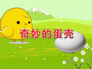 大班科学《奇妙的蛋壳》PPT课件教案1cfd378d0342a8956bec0975f46527d3250ca614.ppt