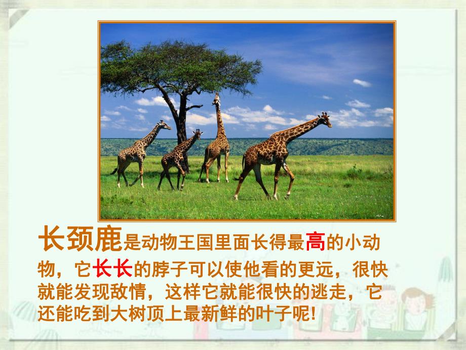 大班科学活动《动物之最》PPT课件教案幼儿园科学活动—动物之最.ppt_第3页