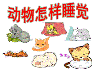 中班科学活动《动物怎样睡觉》PPT课件教案PPT课件.ppt