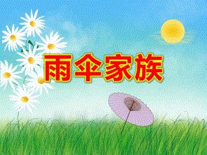 小班科学《雨伞家族》PPT课件教案幼儿园课件：雨伞家族—小班—科学.ppt