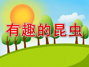 大班科学活动《有趣的昆虫》PPT课件教案PPT课件.ppt