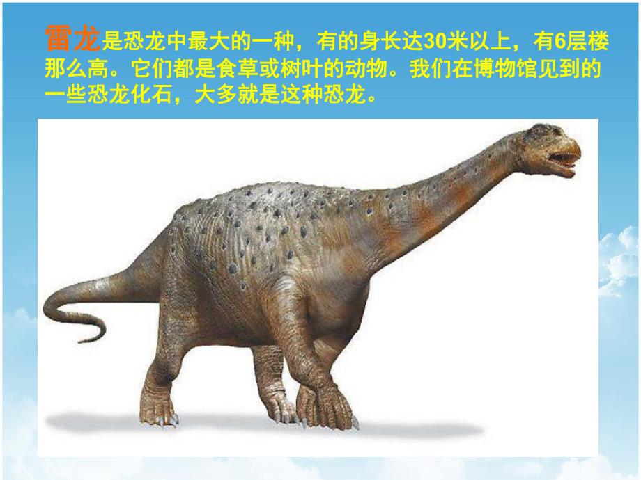 大班科学活动《走进恐龙的世界》PPT课件教案PPT课件.ppt_第3页