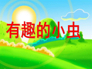 中班科学《有趣的小虫》PPT课件幼儿园中班科学活动：有趣的小虫.ppt