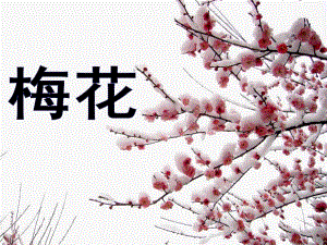 大班语言古诗《梅花》PPT课件教案.ppt