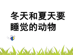 大班科学《冬天和夏天睡觉的动物》PPT课件大班科学--冬天和夏天要睡觉的动物.ppt