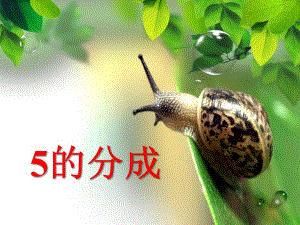 学前班数学《5的分成》PPT课件学前班说课_课件.ppt