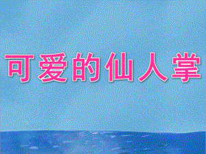 小班科学《可爱的仙人掌》PPT课件3可爱的仙人掌(小班.ppt