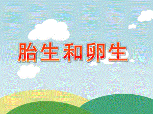 大班科学活动《胎生和卵生》PPT课件教案胎生和卵生.ppt