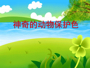 大班科学活动《神奇的动物保护色》PPT课件大班科学活动《神奇的动物保护色》PPT课件.ppt