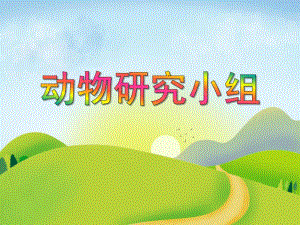 大班综合《动物研究小组》PPT课件大班综合《动物研究小组》PPT课件.ppt