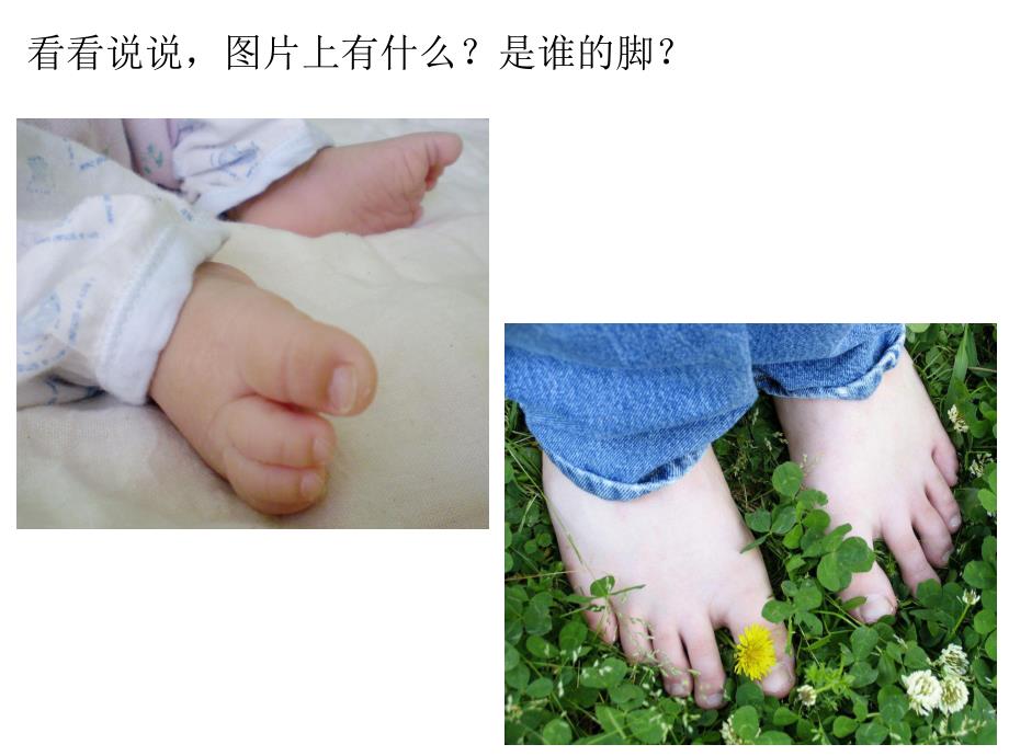 小班健康活动《爱护小脚丫》PPT课件小班健康活动《爱护小脚丫》PPT课件.ppt_第3页