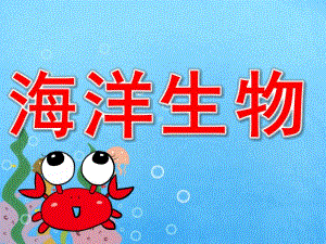 大班科学《海洋生物》PPT课件教案PPT课件.ppt