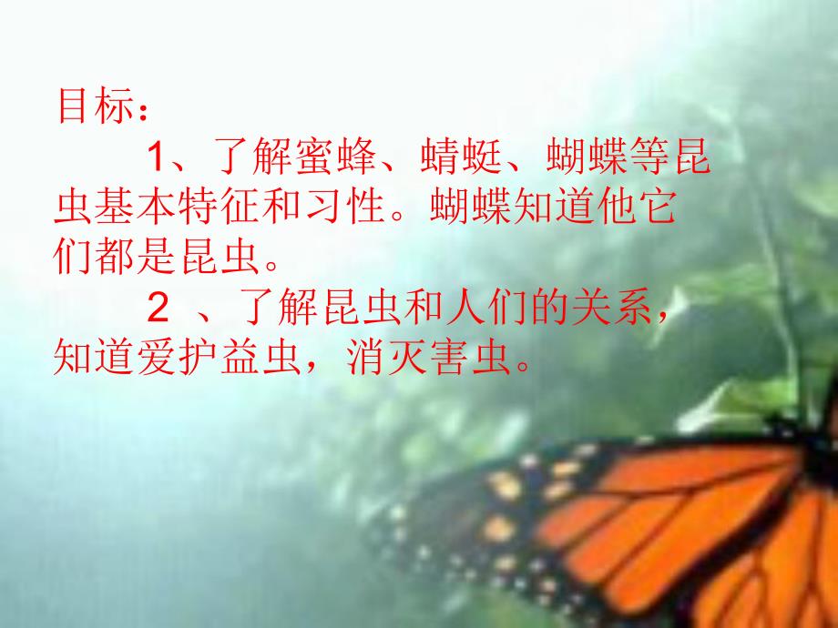 大班科学《美丽的昆虫》PPT课件大班科学：美丽的昆虫.ppt_第2页