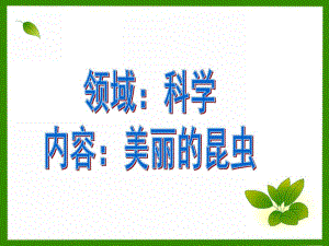 大班科学《美丽的昆虫》PPT课件大班科学：美丽的昆虫.ppt