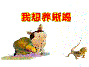 大班语言活动《我想养蜥蜴》PPT课件教案视频原版课件.ppt