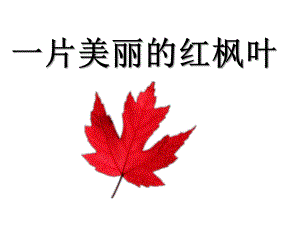 中班语言《一片美丽的红枫叶》PPT课件教案一片美丽的红枫叶.ppt