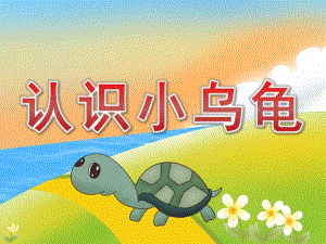 小班科学《认识小乌龟》PPT课件教案PPT课件.ppt