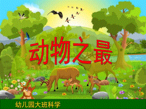 大班科学优质课《动物之最》PPT课件教案.ppt