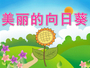 大班美术线描画《美丽的向日葵》PPT课件教案PPT课件.ppt