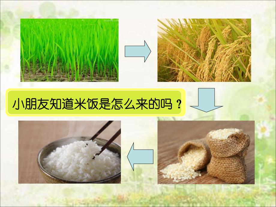 大班科学《农作物认识》PPT课件设计幼儿园大班科学教学课件—农作物认识.ppt_第2页