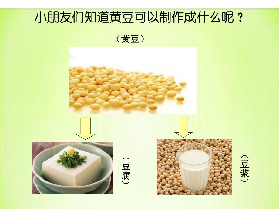 大班科学《农作物认识》PPT课件设计幼儿园大班科学教学课件—农作物认识.ppt_第3页