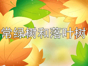 大班《常绿树和落叶树》PPT课件教案PPT课件.ppt