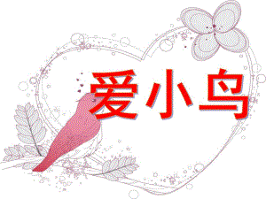 大班社会《爱小鸟》PPT课件教案大班社会爱小鸟-.ppt