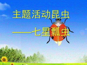 大班科学主题活动《七星瓢虫》PPT课件教案大班七星瓢虫.ppt