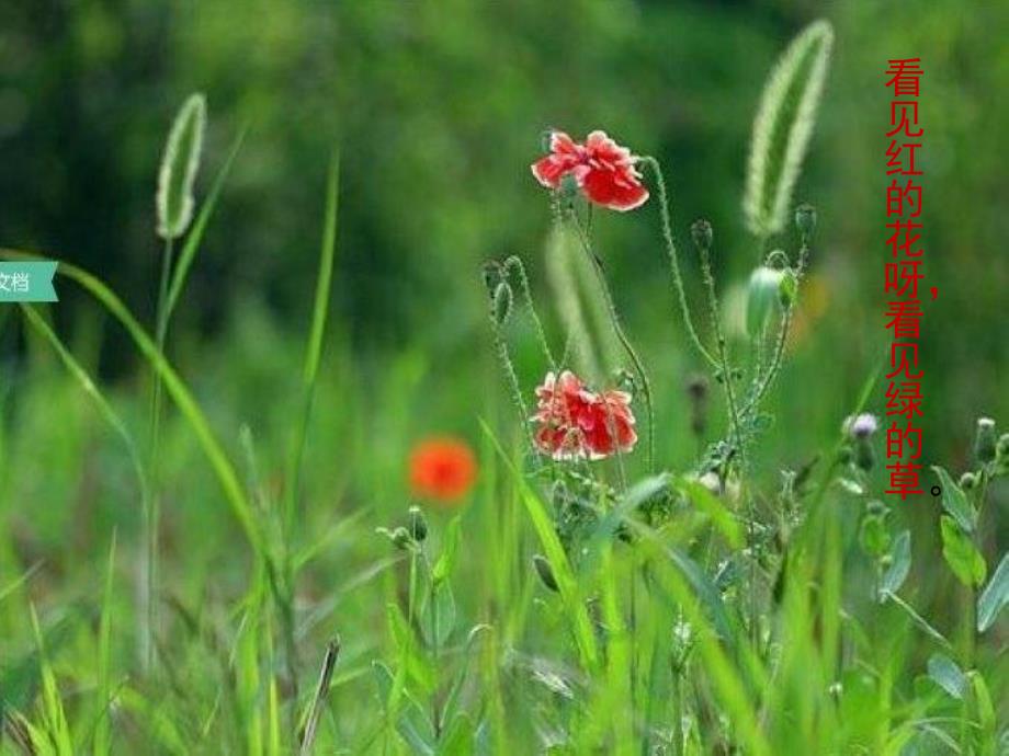 幼儿园音乐《春天在哪里》PPT课件教案歌曲音乐：春天在哪里.ppt_第3页