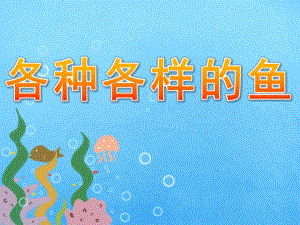 大班《各种各样的鱼》PPT课件教案PPT课件.ppt