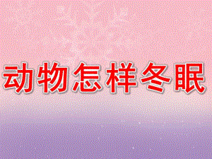 幼儿园《动物怎样冬眠》PPT课件教案PPT课件.ppt