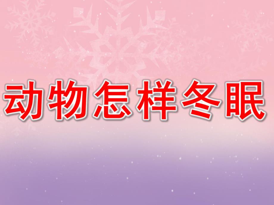 幼儿园《动物怎样冬眠》PPT课件教案PPT课件.ppt_第1页