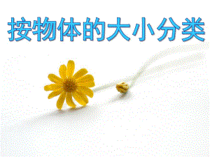 小班数学活动《按物体的大小分类》PPT课件教案PPT课件.ppt
