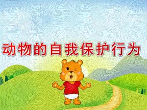 大班科学《动物的自我保护行为》PPT课件教案PPT课件.ppt