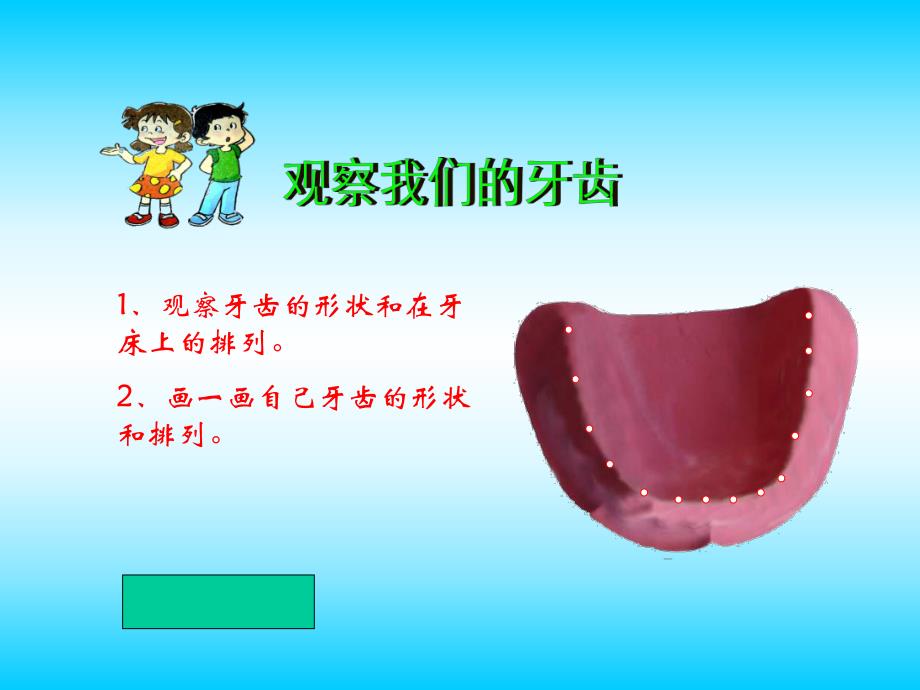 幼儿园科学《认识牙齿》PPT课件认识牙齿PPT课件.ppt_第3页