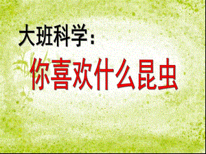 大班科学《你喜欢什么昆虫》PPT课件教案大班科学你喜欢什么昆虫.ppt