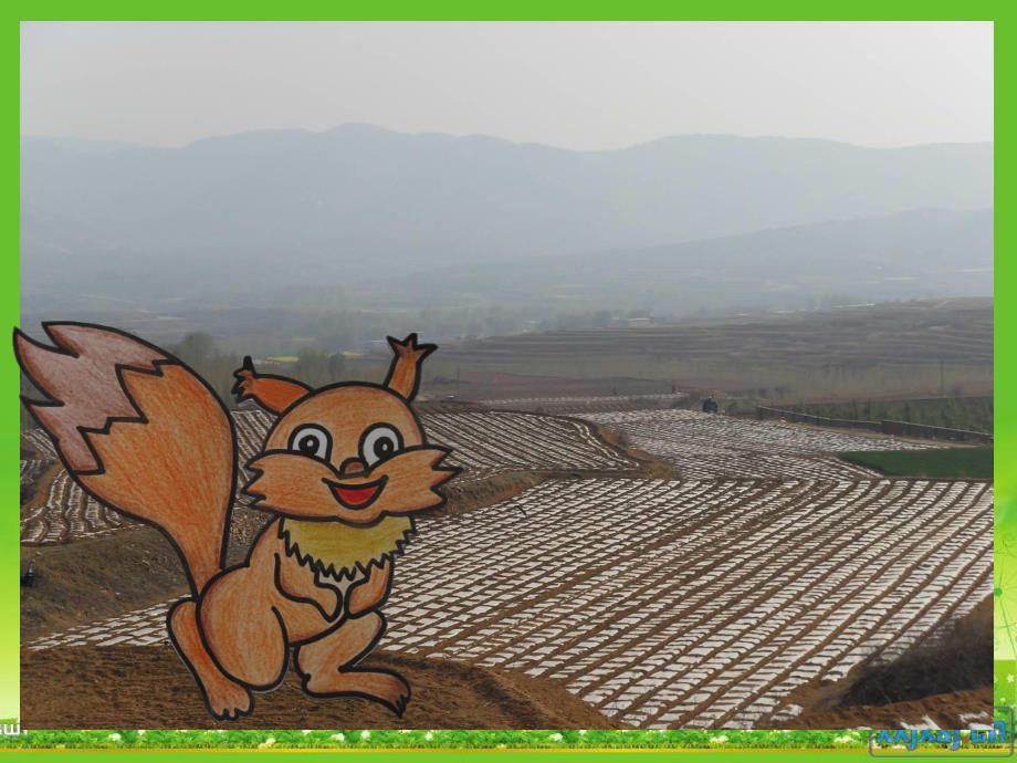 小班科学活动《花生》PPT课件教案.ppt_第3页