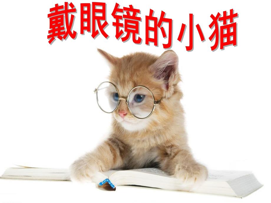 幼儿园《戴眼镜的小猫》PPT课件教案戴眼镜的小猫Microsoft-PowerPoint-演示文稿.ppt_第1页
