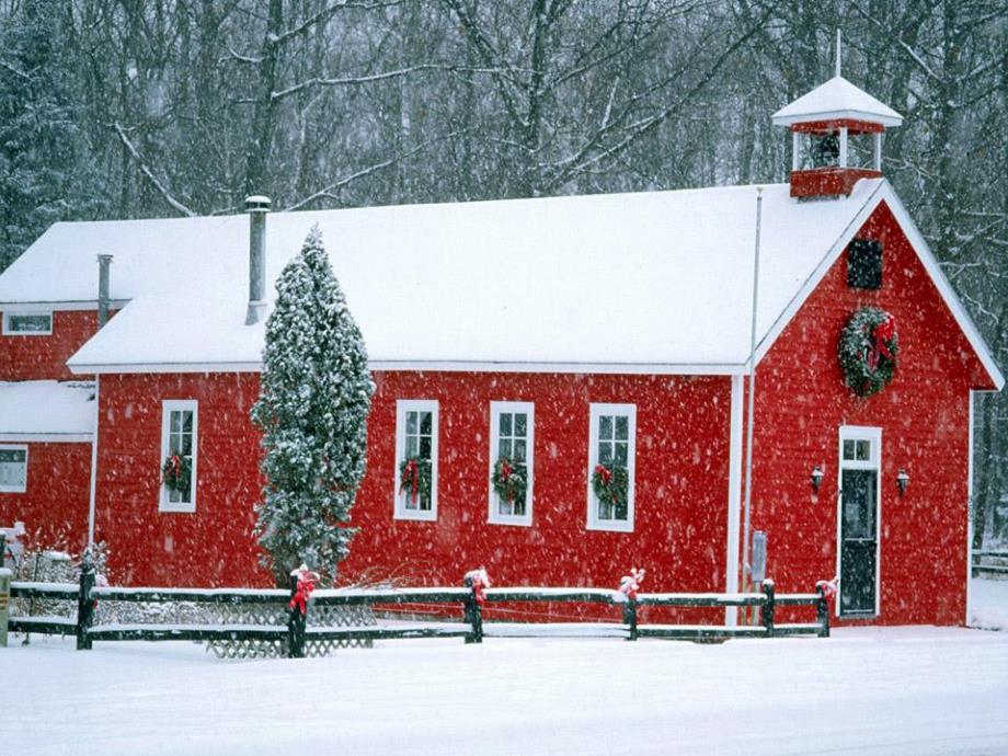 幼儿园《戴眼镜的小猫》PPT课件教案戴眼镜的小猫Microsoft-PowerPoint-演示文稿.ppt_第2页