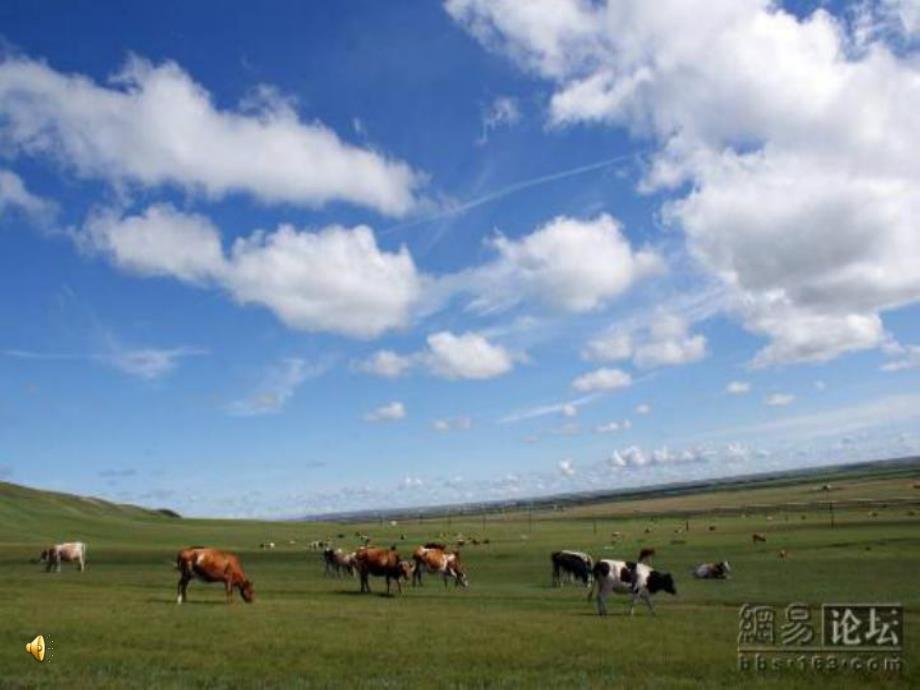 大班主题音乐《欢乐草原》PPT课件教案.ppt_第2页