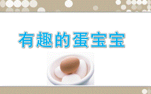 大班科学《有趣的蛋宝宝》PPT课件教案《有趣的蛋宝宝》(课件.ppt