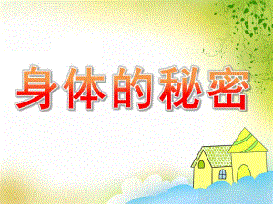大班科学《身体的秘密》PPT课件教案PPT课件.ppt