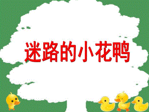 大班音乐《迷路的小花鸭》PPT课件教案说课稿PPT课件.ppt