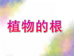 大班科学《植物的根》PPT课件教案科学：植物的根.ppt