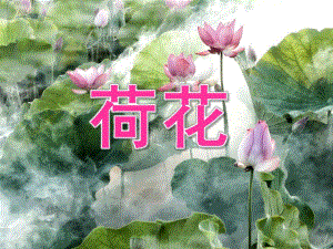 中班美术《荷花》PPT课件教案PPT课件.ppt